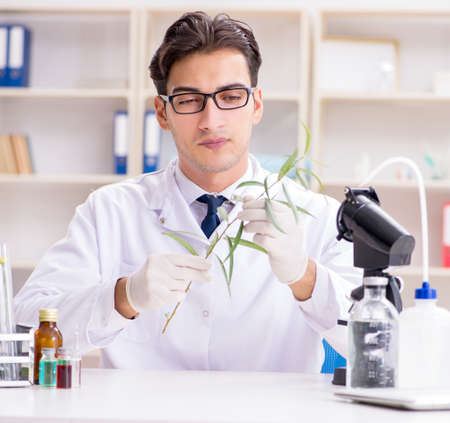 Biotechnology scientist chemist working in labの写真素材
