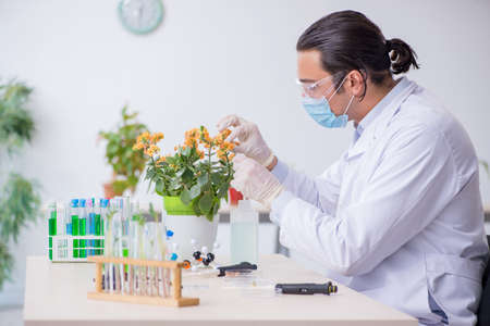 The young male chemist working in the labの写真素材