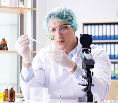 Biotechnology concept with scientist in labの写真素材