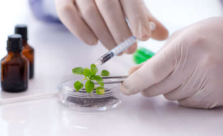 The biotechnology concept with scientist in lab