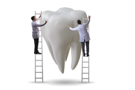 Doctors examining giant tooth in dental conceptの写真素材