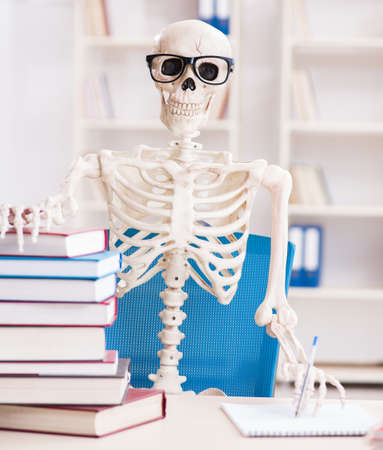 Student skeleton preparing for examsの写真素材
