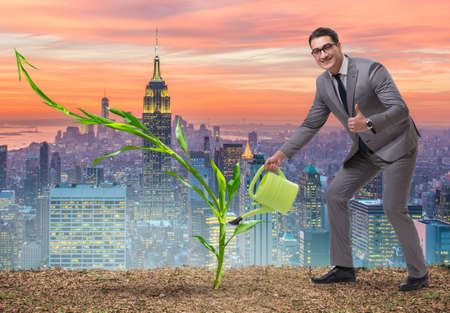 Businessman in new business conceptの写真素材