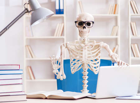 Student skeleton preparing for examsの写真素材