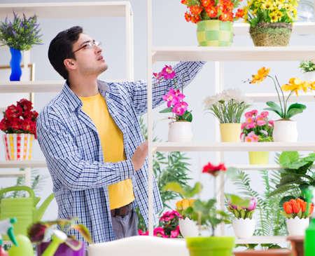 Gardener florist working in a flower shop with house plantsの写真素材