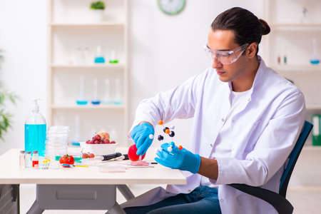 Young male nutrition expert testing food products in labの写真素材