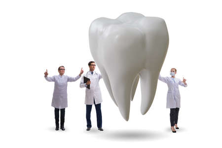 Doctors examining giant tooth in dental conceptの写真素材