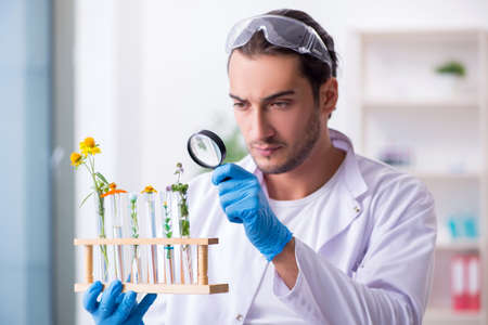 Young male chemist working in the labの写真素材