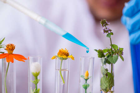 Young chemist working in the labの写真素材