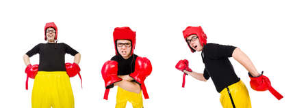 Funny boxer isolated on the white backgroundの写真素材
