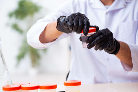 Young male chemist working in the labの写真素材