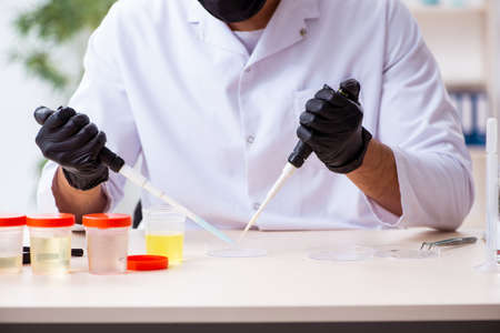 Young chemist working in the labの写真素材