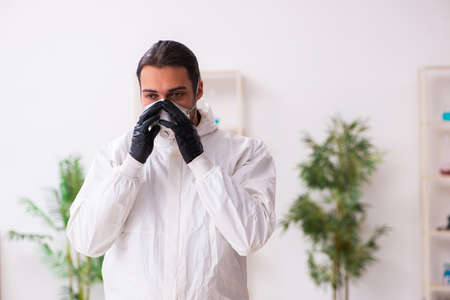 Doctor working in lab in coronavirus COVID-19 conceptの写真素材