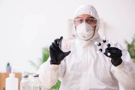 Doctor working in lab in coronavirus COVID-19 conceptの写真素材