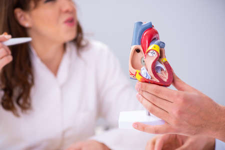 Young male doctor cardiologist and female student in the classroの写真素材