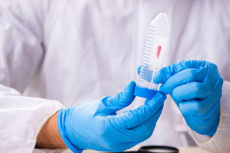 Male expert criminologist working in the lab for evidence