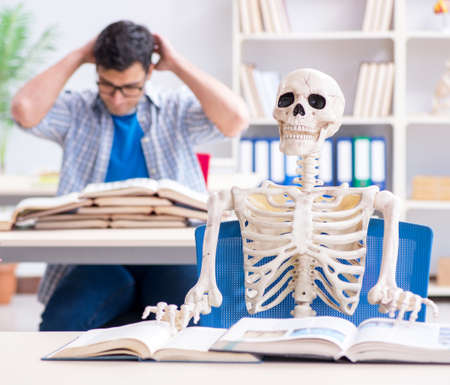 Student skeleton listening to lecture in classroomの写真素材