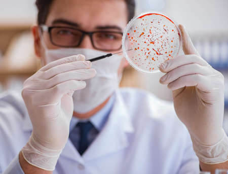 Doctor studying virus bacteria in the lab