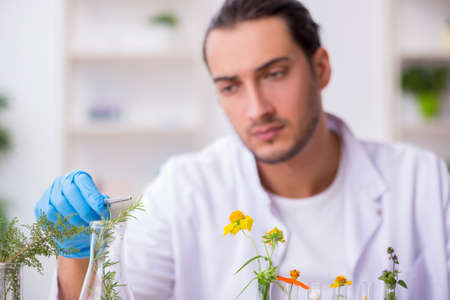 Young male chemist working in the labの写真素材
