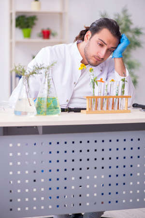 Young male chemist working in the labの写真素材