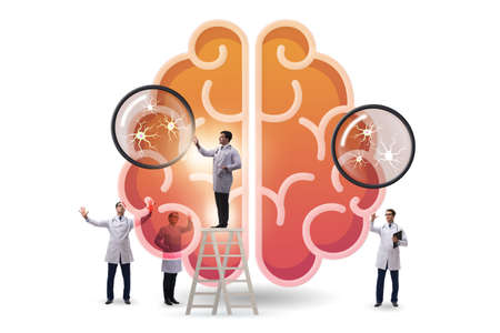 The team of doctors examining human brainの写真素材