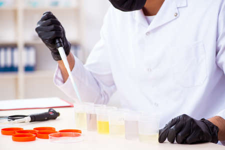 Young chemist working in the labの写真素材