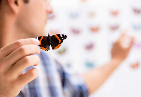 The student entomologist studying new species of butterfliesの写真素材