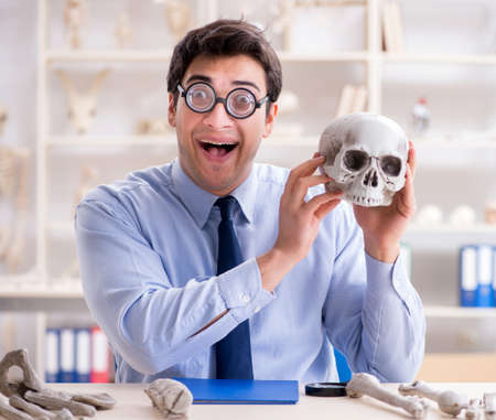 Funny crazy professor studying human skeletonの写真素材