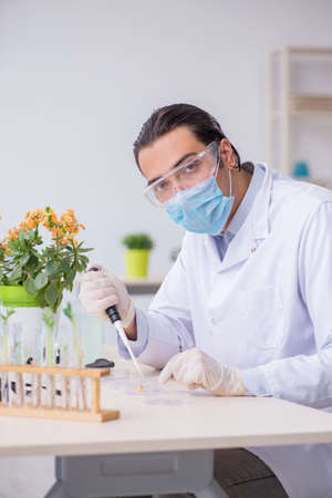 Young male chemist working in the labの写真素材