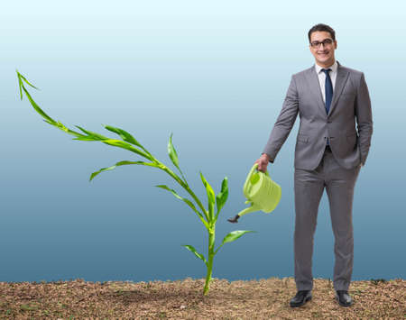 Businessman in new business conceptの写真素材