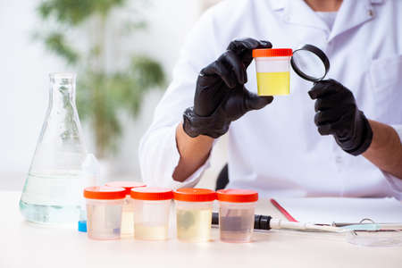 Young male chemist working in the lab