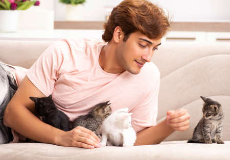 Young man playing with kitten at homeの写真素材