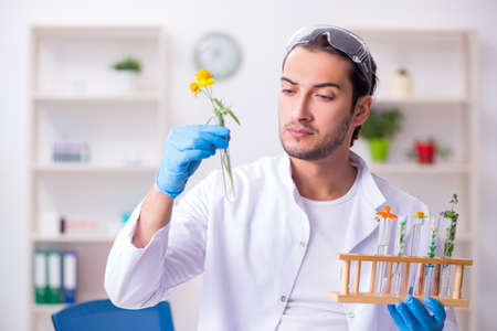 Young male chemist working in the labの写真素材