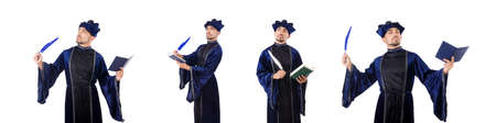 Wizard isolated on the wise background