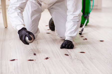 Young male contractor doing pest control at homeの写真素材