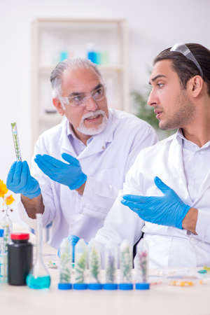 Two chemists working in the labの写真素材
