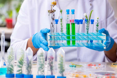 Young male chemist working in the lab
