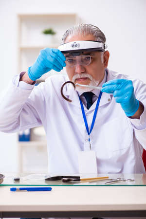 Old male expert criminologist working in the lab for evidenceの写真素材