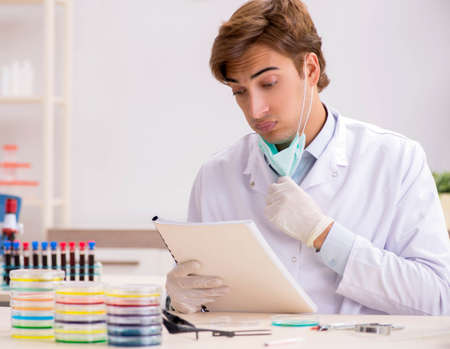 Young chemist working in the labの写真素材