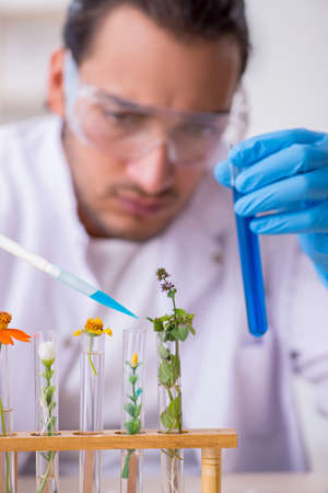 Young male chemist working in the lab
