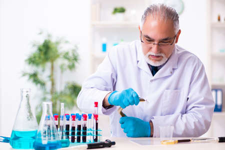 Old chemist holding snake at the science laboratoryの写真素材