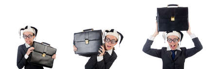 Businessman clown isolated on whiteの写真素材