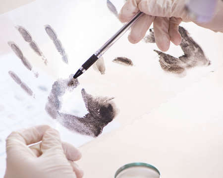 The forensic expert studying fingerprints in the labの写真素材