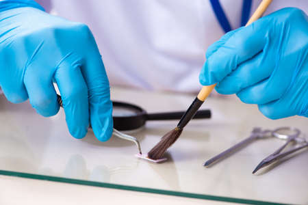 Old male expert criminologist working in the lab for evidenceの写真素材