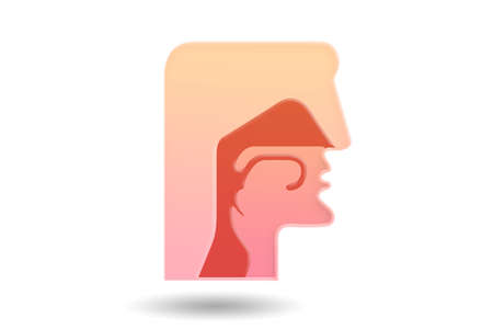 Illustration of human head with various organsの写真素材