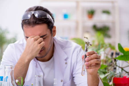 Young male chemist working in the labの写真素材