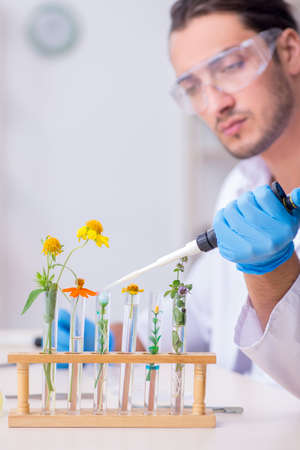Young male chemist working in the labの写真素材