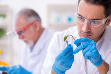 Two chemists working in the lab