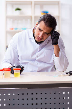 Young male chemist working in the labの写真素材
