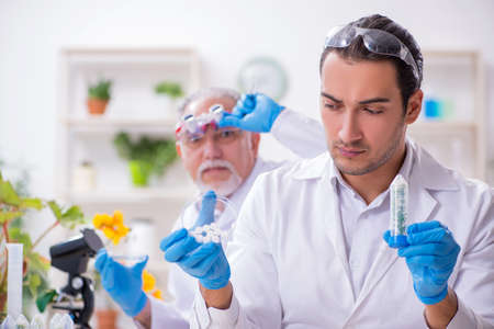 Two chemists working in the labの写真素材